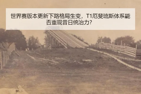 世界赛版本更新下路格局生变，T1厄斐琉斯体系能否重现昔日统治力？